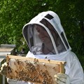 Photo de Veste d'apiculture en tissu mesh respirant et capuche d'escrime